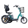 Van Raam Easy Go scootmobielfiets