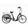 E-Luxe driewielfietss